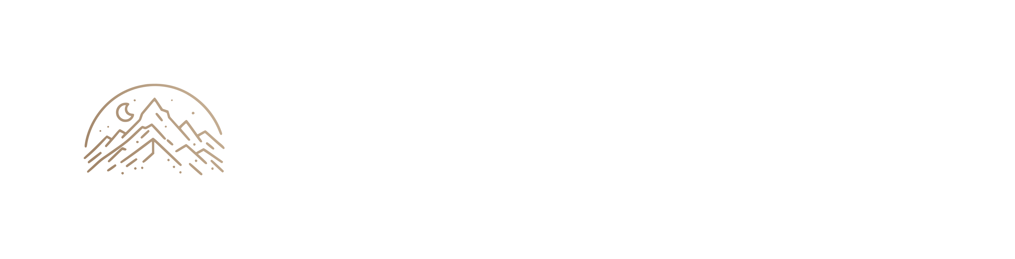 Peak-Evo Performance Logo
